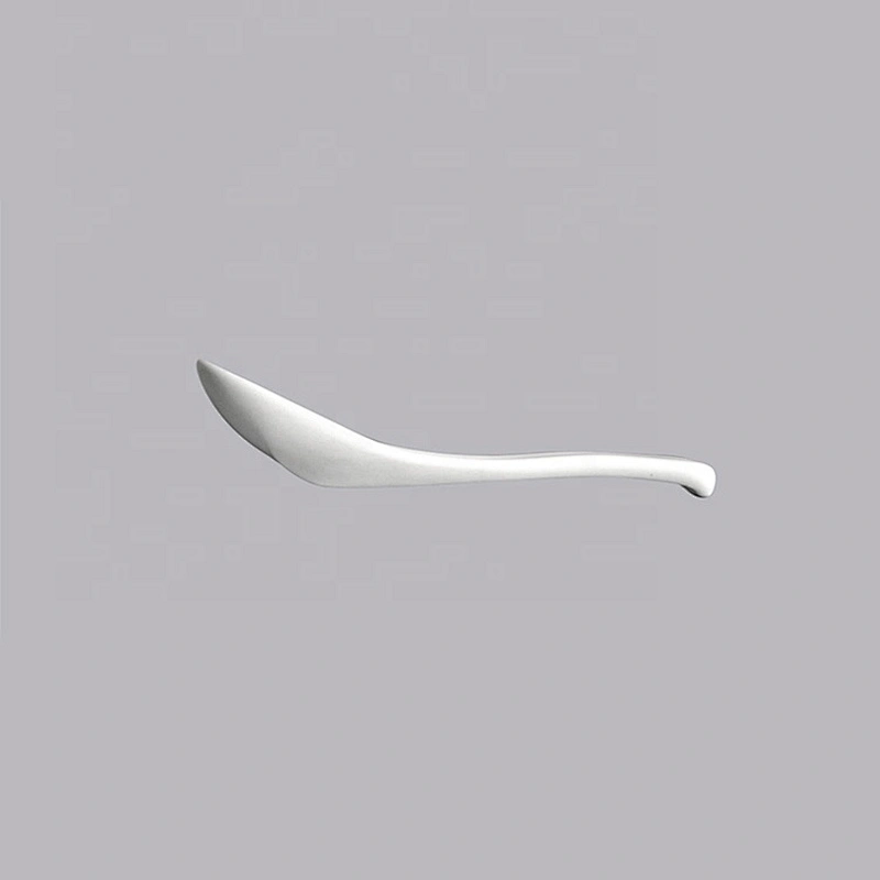 high quality wholesale small white ceramic tasting porcelain spoon