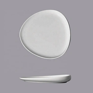 P&T Royal Ware white restaurant ceramic dinner dishes porcelain triangular plates