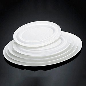P&T fish plates, oval flat plate, new year dinner plates