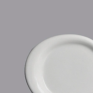 wholesale white restaurant ceramic plate stoneware porcelain dish