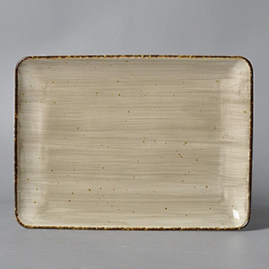P&T ROYAL WARE  Warm Tones  New Design Smooth Grazed Table Top Rectangle Ceramic Restaurant Hotel catering  Plates Dinner Plate