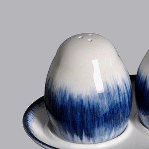 wholesale novelty fashionable porcelain ceramic salt  & pepper shaker set