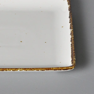 P&T ROYAL WARE  2020 New Design Smooth Grazed Square Ceramic Restaurant Hotel Banquet Catering Plates Dinner Plate