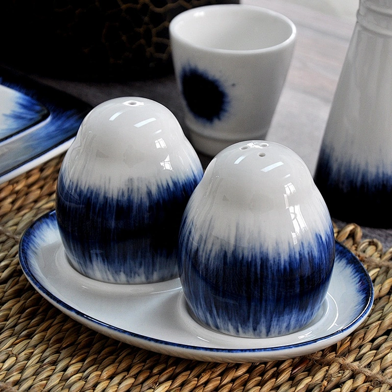 wholesale novelty fashionable porcelain ceramic salt  & pepper shaker set