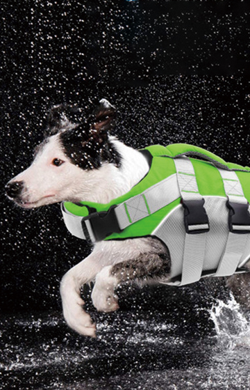 Waist Inflatable Life Jacketlife jacket Dongguan Eyson Lifesaving