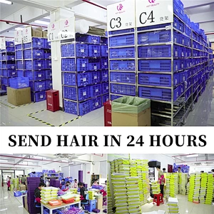 Hot Beauty Hair Kinky Curly Lace Front Hair Wig Natural Wig Vendor Curly Human Hair Wigs For Black Women