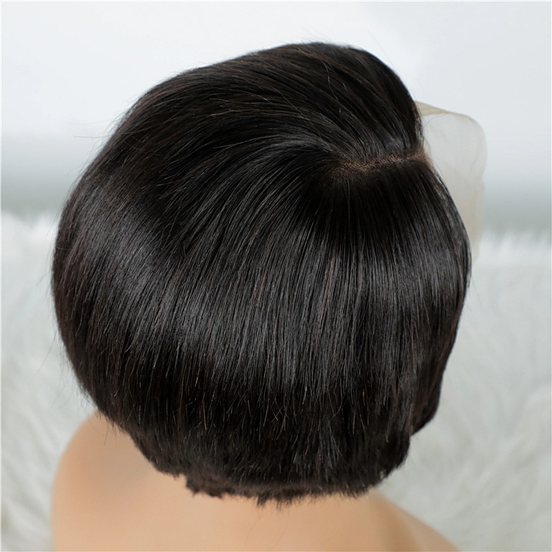 Hot Beauty March Expo Wigs Straight Virgin Cuticle Aligned Hair Human Hair Wigs