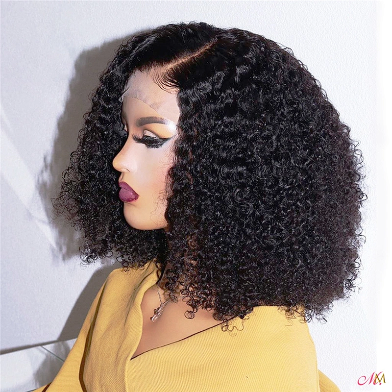Hot Beauty Hair Kinky Curly Lace Front Hair Wig Natural Wig Vendor Curly Human Hair Wigs For Black Women