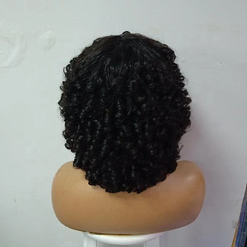 Hot Besutyy Hair wholesale Wig Super Double Drawn Bouncy Wig Pixie Cut Funmi Rose Curl Hair