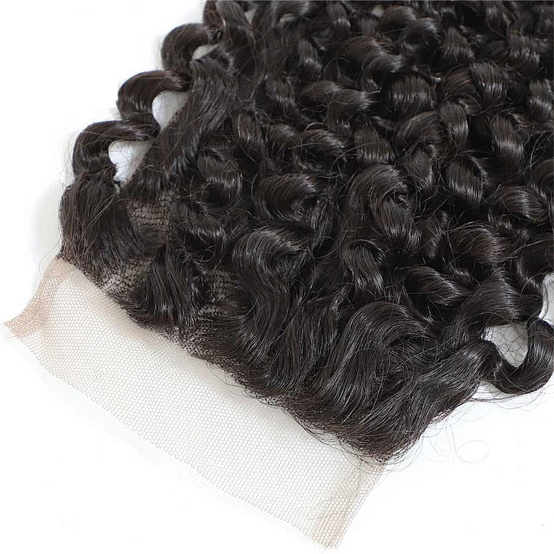 Hot Beauty Kinky Curly Virgin Human Hair Closure 4x4 Nature Color Lace Closure Curly Closure