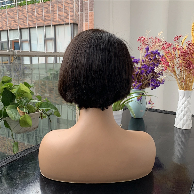 Hot Beauty March Expo Wigs Straight Virgin Cuticle Aligned Hair Human Hair Wigs