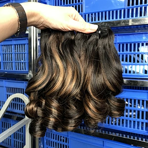 Wholesale Vietnam Funmi Hair Jenny Curl 100% Human Hair In Highlighted Bouncy Color Hair