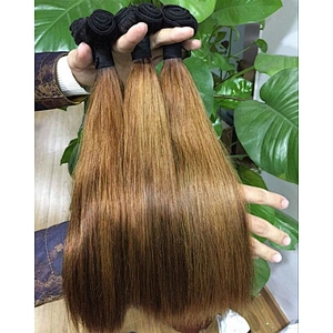 Wholesale Raw Virgin Vietnam Funmi Hair Color Bone Straight Silky Double Drawn