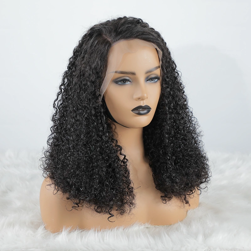 Best Small Kinky Curly Virgin Human Lace Frontal Wigs
