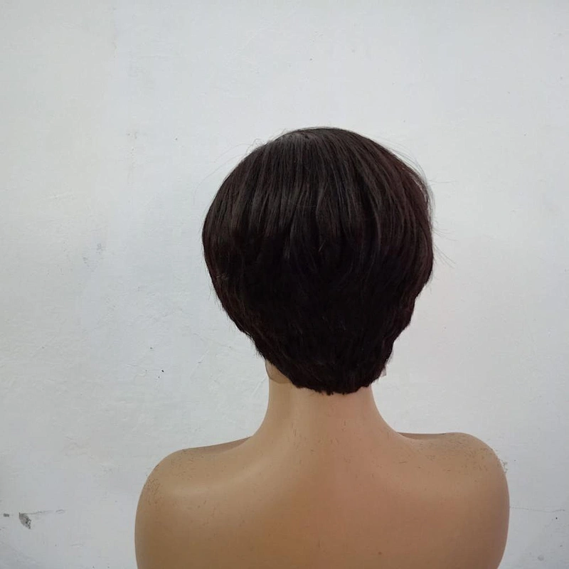 Frontal Pixie Wig Short Cut Style Cuticle Aligned Hair Lace Front Wig Silky Straight Wholesale Price