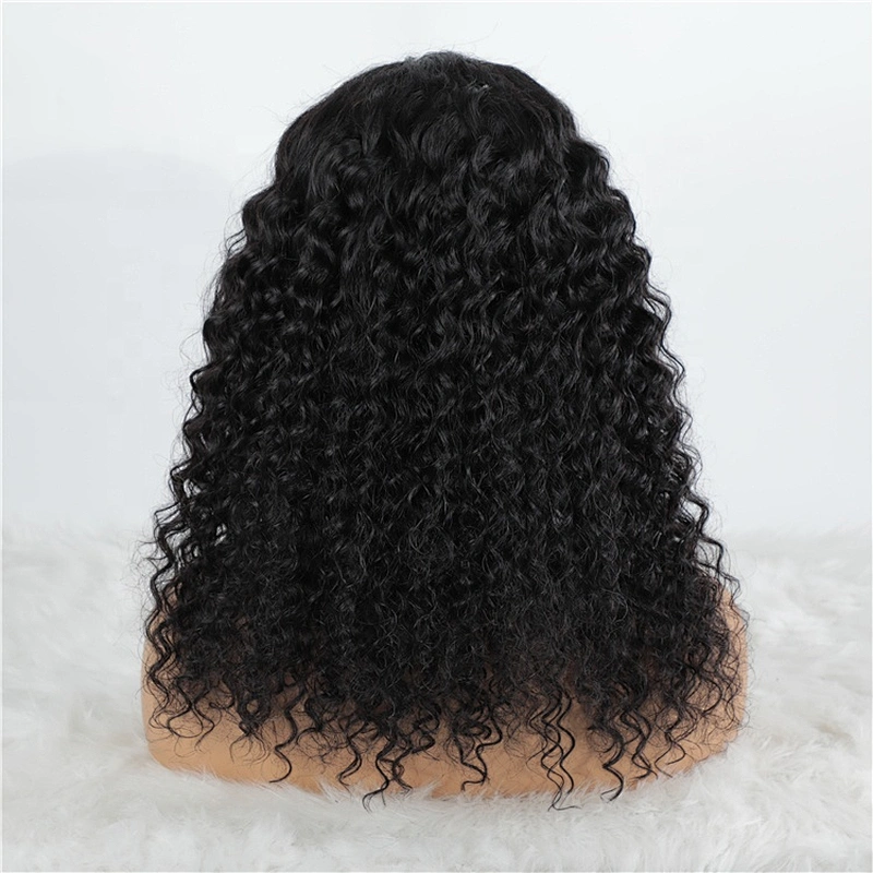 Hot beauty free shipping dropship hair human wigs lace wig lace front human hair wig