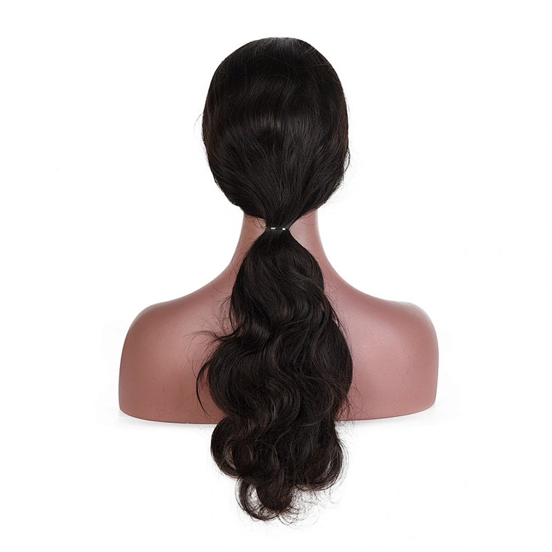 brazilian hair human virgin hair lace front wigs