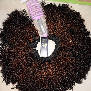 Wholesale Raw Highlight Brown Super Double Drawn Pixie Curl Brazilian Human Hair Bundles Extensions Virgin Cuticle Aligned Hair