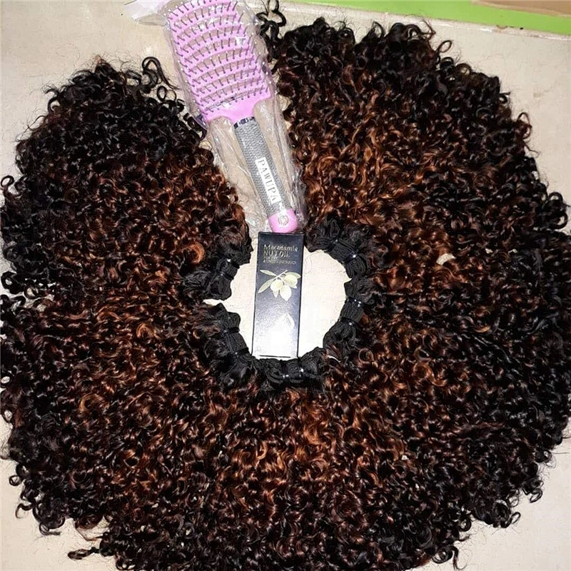 Wholesale Raw Highlight Brown Super Double Drawn Pixie Curl Brazilian Human Hair Bundles Extensions Virgin Cuticle Aligned Hair