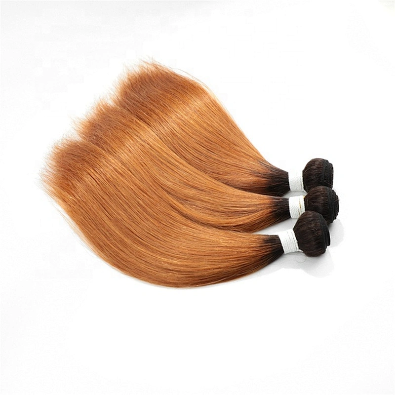 Wholesale Cheap Price Ombre Colored 1B/30 Virgin Straight Human Hair Bundles