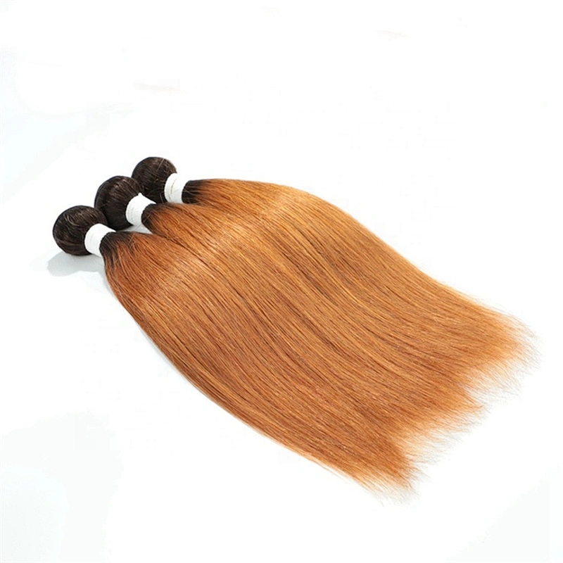 Wholesale Cheap Price Ombre Colored 1B/30 Virgin Straight Human Hair Bundles