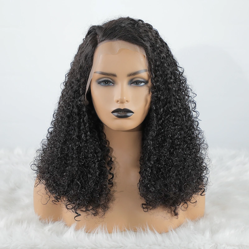 Best Small Kinky Curly Virgin Human Lace Frontal Wigs