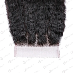 Hot Beauty Hair Cambodian Hair Vendors Lace Closure Afro Kinky Curly For Women