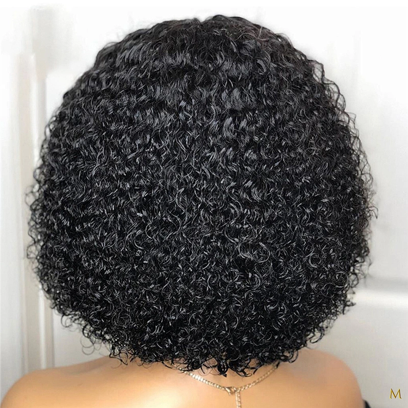 Hot Beauty Hair Kinky Curly Lace Front Hair Wig Natural Wig Vendor Curly Human Hair Wigs For Black Women
