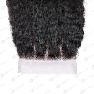 100% Virgin Remy Hair Cuticle Aligned Hair Cheaper Brazilian Hair In China Lace Closure Natural Black Kinky Straight For Women