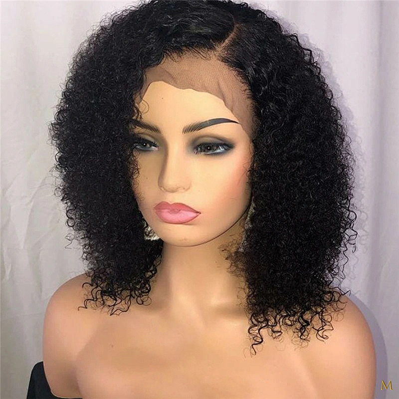 Hot Beauty Hair Kinky Curly Lace Front Hair Wig Natural Wig Vendor Curly Human Hair Wigs For Black Women