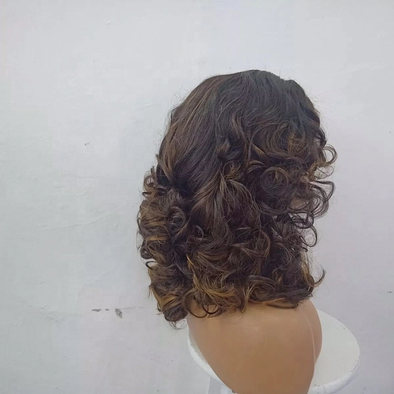 Fast Shipping 100% Virgin Human Hair Curly Lace Front Wig With Baby Hair Front Wigs For Women