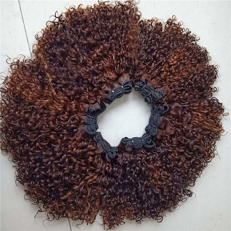 Wholesale Raw Highlight Brown Super Double Drawn Pixie Curl Brazilian Human Hair Bundles Extensions Virgin Cuticle Aligned Hair