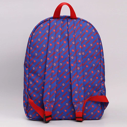 bag recycled