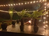 outside string lights