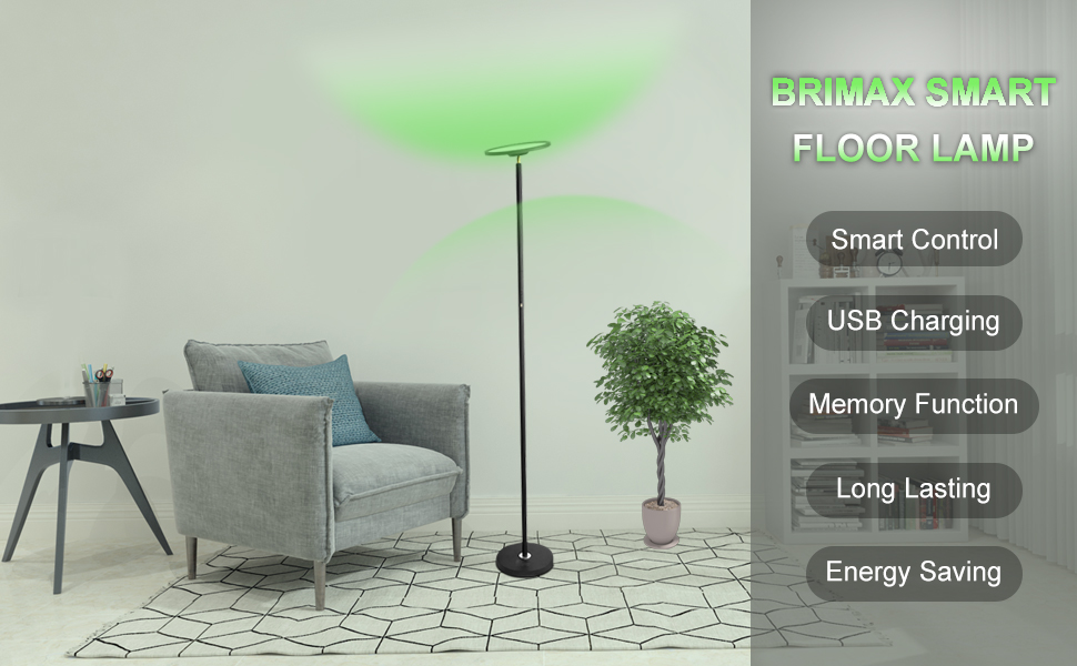 smart light15.jpg