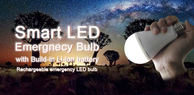 1 emergency bulb.jpg