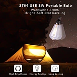 portable bulb