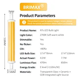 led R7S bulb light