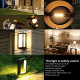 led R7S bulb light