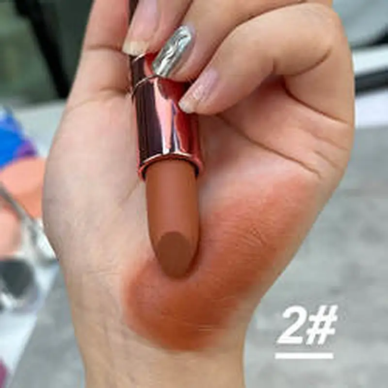 OEM ODM private label charm pink bullet lipstick matte lipstick with cover tube long lasting waterproof
