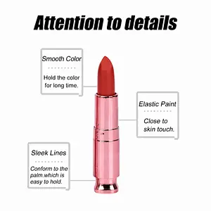 OEM ODM private label charm pink bullet lipstick matte lipstick with cover tube long lasting waterproof