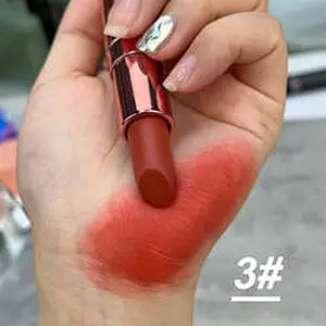 OEM ODM private label charm pink bullet lipstick matte lipstick with cover tube long lasting waterproof