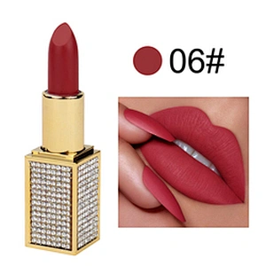 OEM ODM private label vegan Velvet mate lipstick wholesale velvet long lasting lipstick mate lipstick custom logo
