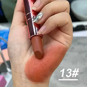 OEM ODM private label charm pink bullet lipstick matte lipstick with cover tube long lasting waterproof