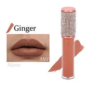 Fast Delivery 162 Shades Liquid Lipstick Lip Gloss Private Label Custom Logo Shiny Glitter Clear Lipgloss