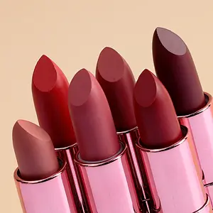 OEM ODM private label charm pink bullet lipstick matte lipstick with cover tube long lasting waterproof