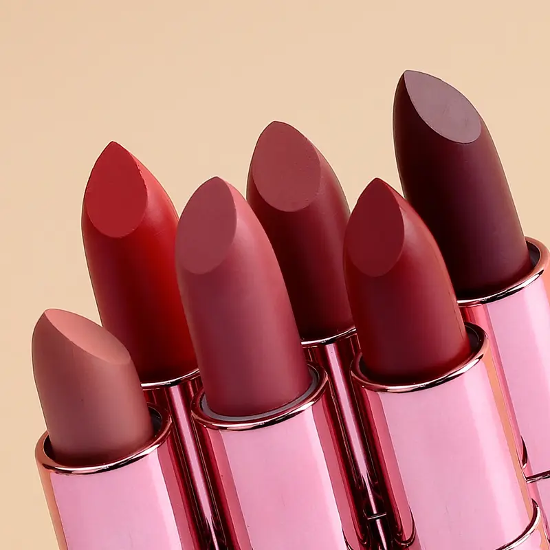 OEM ODM private label charm pink bullet lipstick matte lipstick with cover tube long lasting waterproof