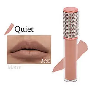Fast Delivery 162 Shades Liquid Lipstick Lip Gloss Private Label Custom Logo Shiny Glitter Clear Lipgloss