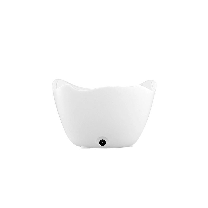 Sonic cleansing system ND-FC02