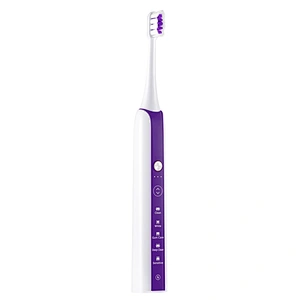 Electric toothbrush